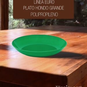 plato_euro_grande